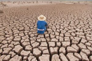 ACCION POR EL CLIMA